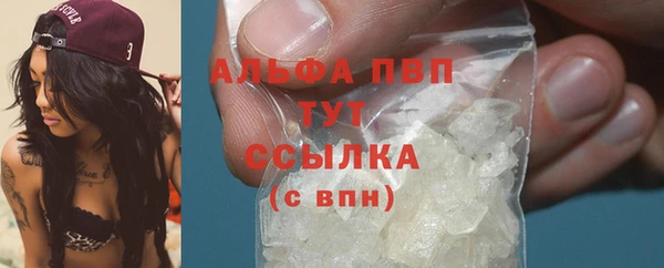 альфа пвп Медвежьегорск