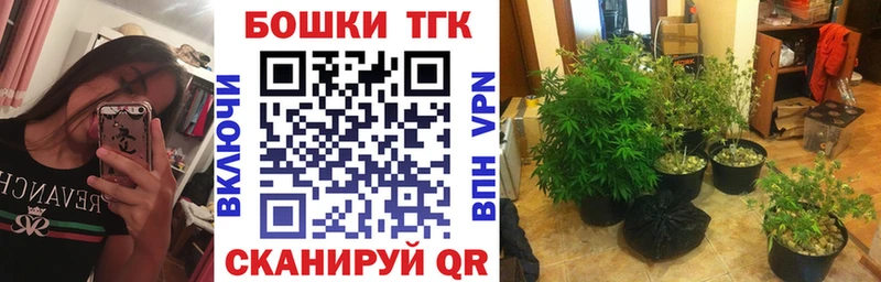 Марихуана сатива  цены   Нахабино 